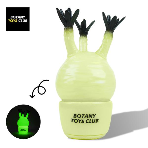 パキポディウム・グラキリス 【 ソフビ 】 パキポディウム グラキリス-PG266 | Supervoid Caudex