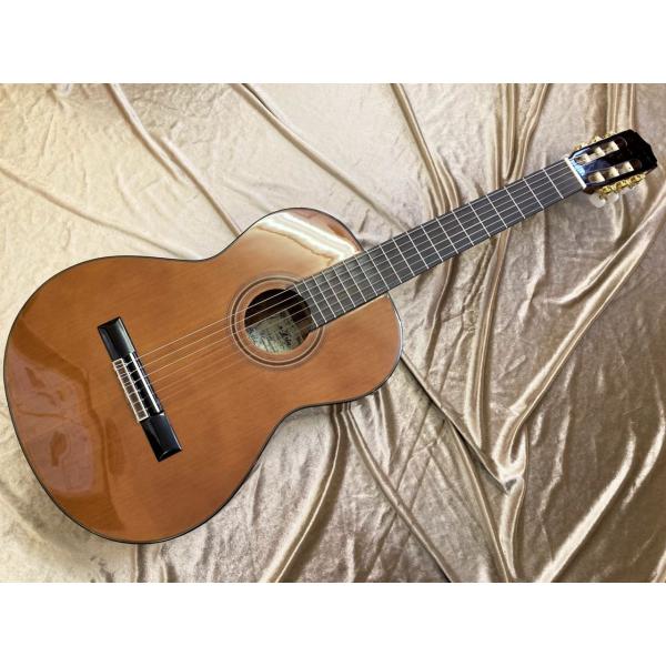 ありがとうございます♪【売れました！】アリアガットギター A-20  新品 ARIA A-20S-53 ミニクラシックギター 弦長530mm スプルース単板トップ