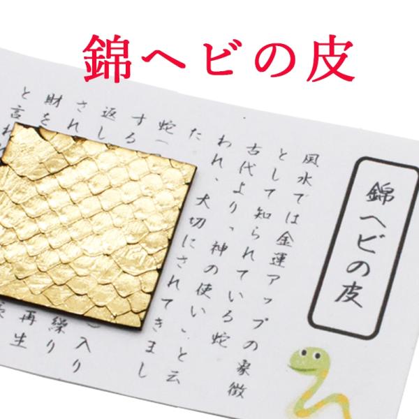 蛇の大金運ブレス＜へびの皮お守り付き＞ 金運蛇の宝石ブレス へびの皮お守り付き : まるっとマーケット
