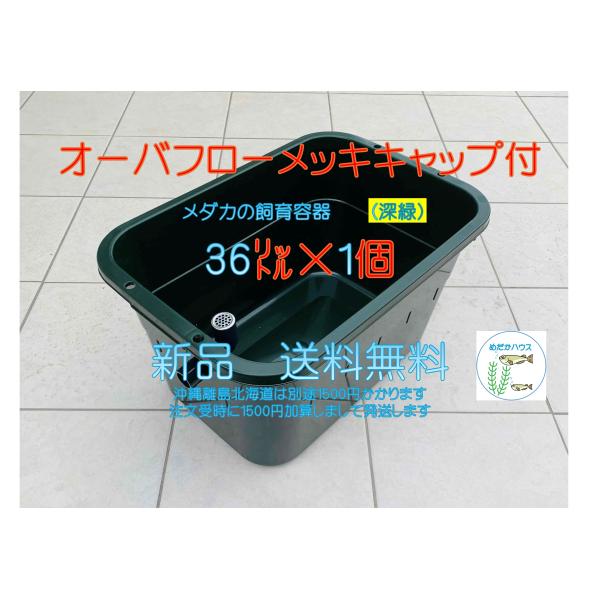 メダカ飼育ケース【36㍑x3個 3色有り オーバーフローキャップ付】金魚飼育容器 五色アクア メダカ飼育ケース 36㍑ 三色有り オーバーフロー