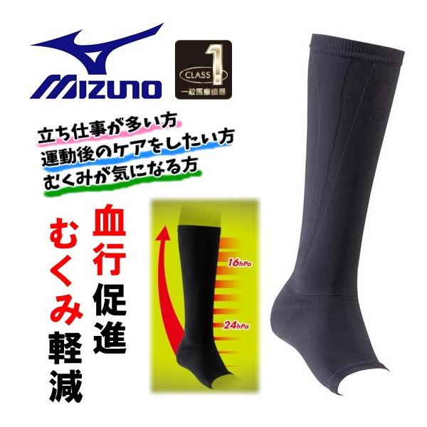 ~Ym ӂ͂p pT|[^[ NX1T|[^[ ӂ͂{p 2 C2JS8103