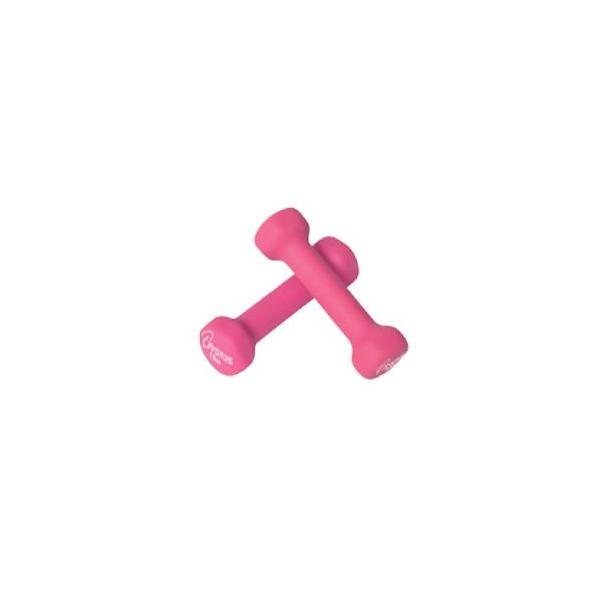 ���o�[�R�[�g�_���x��0.5 [0.5kg×2��1�g] �g�[�G�C���C�g H-9054 �t�B�b�g�l�X �G�N�T�T�C�Y �E�G�C�g�g���[�j���O