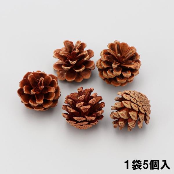 【商品番号：770642】クリスマス向けのリースなどのフラワーアレンジメントにおすすめします。※天然素材ですので、色味やボリューム、形状は写真と異なる場合がございます。仕様：松カサ入数：5個入
