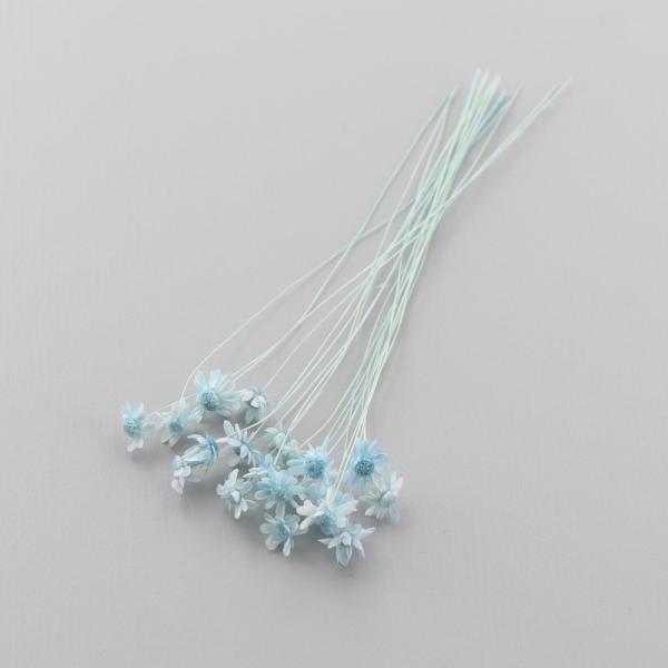 スターフラワーは、ハーバリウムボールペンの制作にとても使いやすい小花です。ハーバリウム制作時の空間埋め、アクセント用としてもおすすめします。少量をクリアケースに入れていますので、小出しで使いたい場合に便利で、保管の際も花材がつぶれる心配があ...