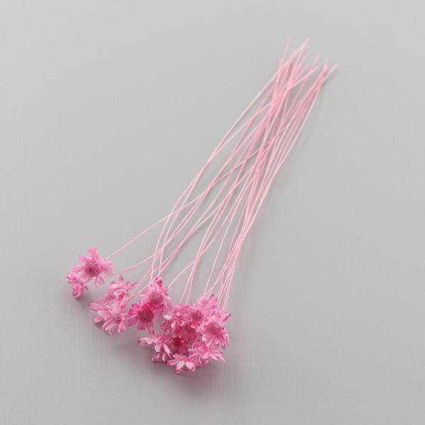 スターフラワーは、ハーバリウムボールペンの制作にとても使いやすい小花です。ハーバリウム制作時の空間埋め、アクセント用としてもおすすめします。少量をクリアケースに入れていますので、小出しで使いたい場合に便利で、保管の際も花材がつぶれる心配があ...