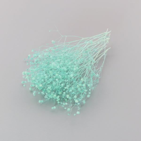 かすみ草は、小さくカットするとハーバリウムボールペンの制作にとても使いやすいです。ハーバリウム制作時の空間埋め、色付け、アクセント用としてもおすすめします。少量をクリアケースに入れていますので、小出しで使いたい場合に便利で、保管の際も花材が...