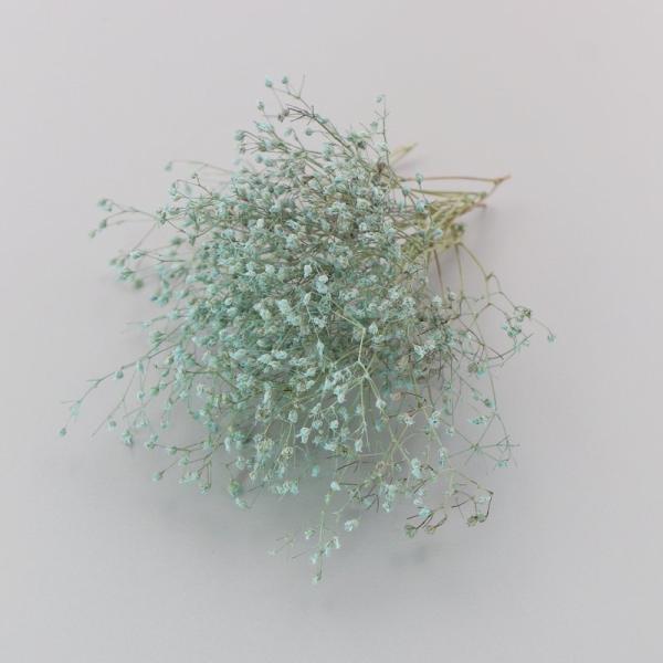 かすみ草は、小さくカットするとハーバリウムボールペンの制作にとても使いやすいです。ハーバリウム制作時の空間埋め、色付け、アクセント用としてもおすすめします。少量をクリアケースに入れていますので、小出しで使いたい場合に便利で、保管の際も花材が...