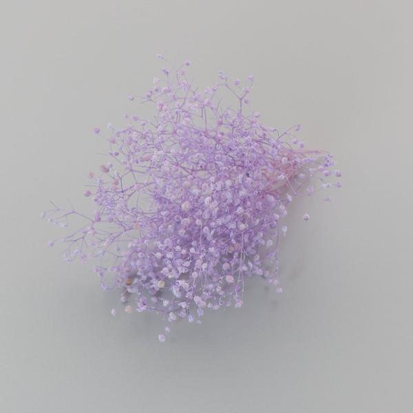 かすみ草は、小さくカットするとハーバリウムボールペンの制作にとても使いやすいです。ハーバリウム制作時の空間埋め、色付け、アクセント用としてもおすすめします。少量をクリアケースに入れていますので、小出しで使いたい場合に便利で、保管の際も花材が...