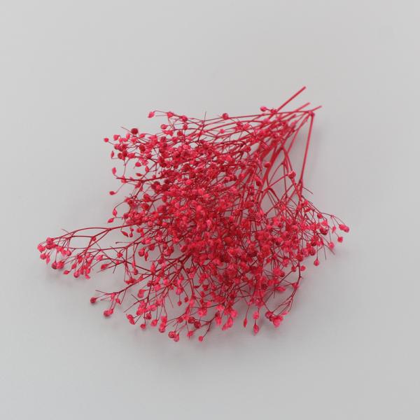 かすみ草は、小さくカットするとハーバリウムボールペンの制作にとても使いやすいです。ハーバリウム制作時の空間埋め、色付け、アクセント用としてもおすすめします。少量をクリアケースに入れていますので、小出しで使いたい場合に便利で、保管の際も花材が...