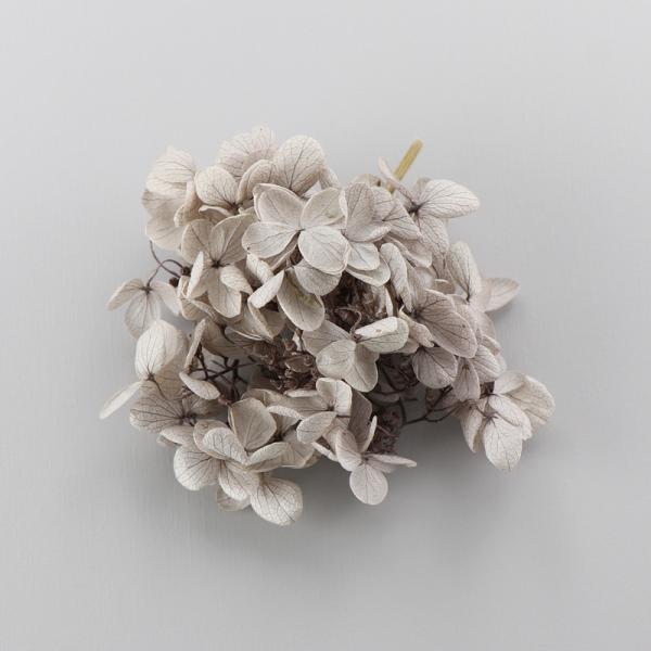 アジサイは、花びらを１枚ずつカットしてハーバリウムボールペンの花材として使えます。また、枝ごとまとめてハーバリウム制作時の空間埋め、色付け、アクセント用としても使えます。少量をクリアケースに入れていますので、小出しで使いたい場合に便利で、保...