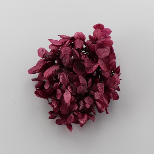 アジサイは、花びらを１枚ずつカットしてハーバリウムボールペンの花材として使えます。また、枝ごとまとめてハーバリウム制作時の空間埋め、色付け、アクセント用としても使えます。少量をクリアケースに入れていますので、小出しで使いたい場合に便利で、保...