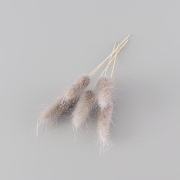 ラグラスは、ハーバリウム制作のワンポイントアクセントとして最適です。少量をクリアケースに入れていますので、小出しで使いたい場合に便利で、保管の際も花材がつぶれる心配がありません。お好みに応じて色をお選びください。※天然素材ですので、色味やボ...