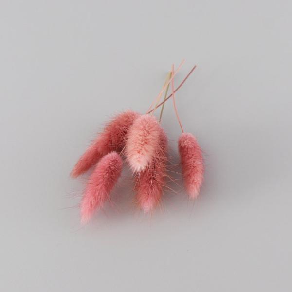 ラグラスは、ハーバリウム制作のワンポイントアクセントとして最適です。少量をクリアケースに入れていますので、小出しで使いたい場合に便利で、保管の際も花材がつぶれる心配がありません。お好みに応じて色をお選びください。※天然素材ですので、色味やボ...