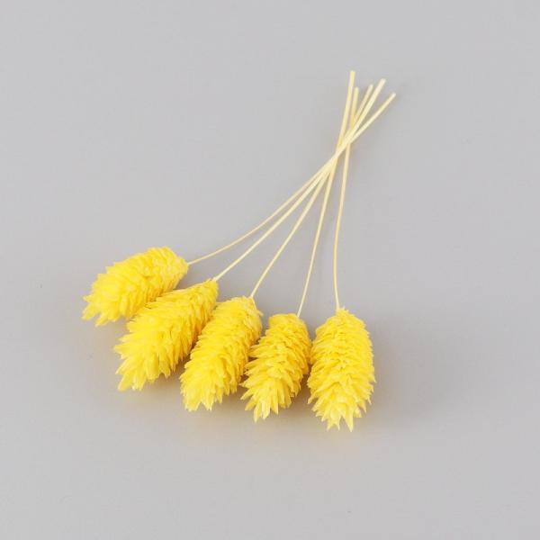 ポアプランツは、ハーバリウム制作のワンポイントアクセントとして最適です。少量をクリアケースに入れていますので、小出しで使いたい場合に便利で、保管の際も花材がつぶれる心配がありません。お好みに応じて色をお選びください。※天然素材ですので、色味...