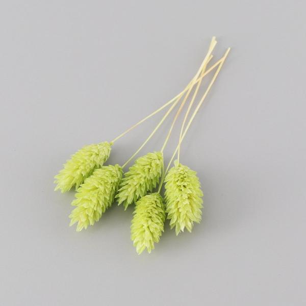 ポアプランツは、ハーバリウム制作のワンポイントアクセントとして最適です。少量をクリアケースに入れていますので、小出しで使いたい場合に便利で、保管の際も花材がつぶれる心配がありません。お好みに応じて色をお選びください。※天然素材ですので、色味...