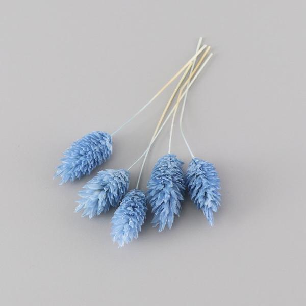 ポアプランツは、ハーバリウム制作のワンポイントアクセントとして最適です。少量をクリアケースに入れていますので、小出しで使いたい場合に便利で、保管の際も花材がつぶれる心配がありません。お好みに応じて色をお選びください。※天然素材ですので、色味...