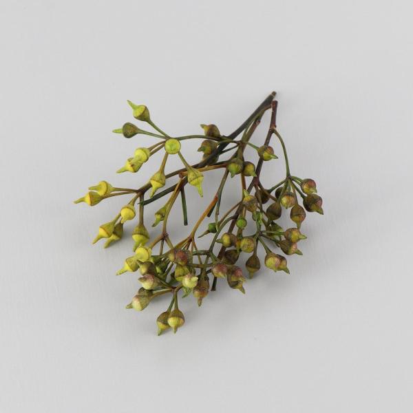 ユーカリは、ハーバリウム制作の枝ものアクセントの他、実だけを切ってハーバリウムボールペンの花材としても使いやすいです。少量をクリアケースに入れていますので、小出しで使いたい場合に便利で、保管の際も花材がつぶれる心配がありません。お好みに応じ...