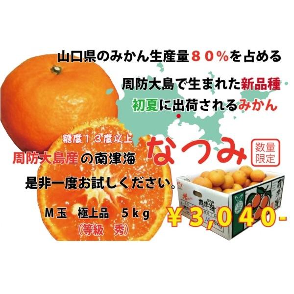 南津海 なつみm玉 みかん 周防大島 お取り寄せ ギフト M0012 周防大島 うまいもの広場 通販 Yahoo ショッピング