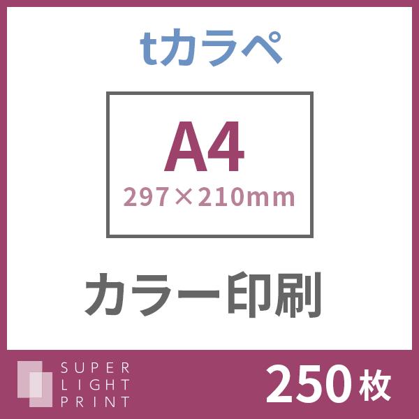 Tカラペ カラー印刷 サイズ 250枚 Www Thecharlienoble Com