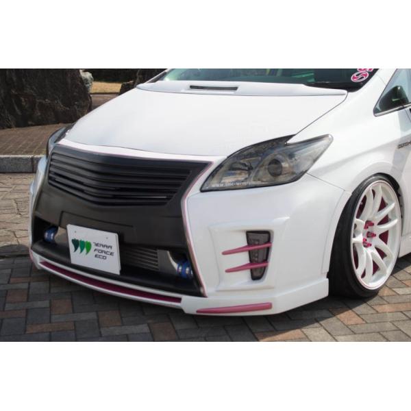 Terra Force Zvw30 プリウス 前期 スピンドルグリル エアロ テラフォース Buyee Buyee Japanese Proxy Service Buy From Japan Bot Online