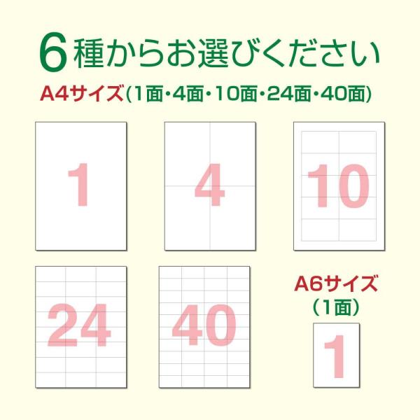 superbproducts_unpack-rabel-5_3_d_20260311174728