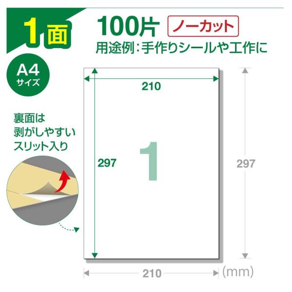 superbproducts_unpack-rabel_5_d_20260311175238