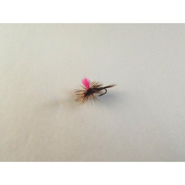 �A�N�A�r�b�g�@�h���C�t���C�@�����i�@�A�_���X�@�p���V���[�g