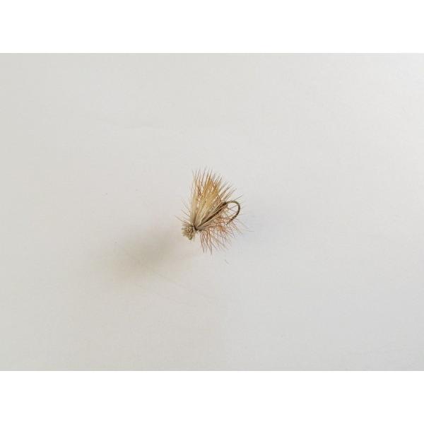 ANArbg hCtC i GNwAJfBX uE12