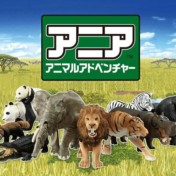 superfoot_10004337_1_d_20250710171654