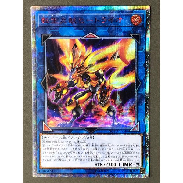 遊戯王オフィシャルカードゲーム デュエルモンスターズ 遊戯王 (キズ有