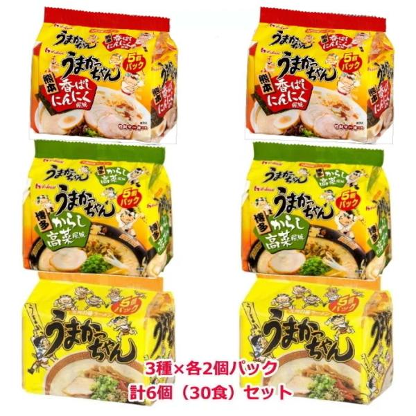うまかっちゃん 【6213】☆8 3種セット 5食入・からし高菜 5食入 うまかっちゃん 【6213】☆8 3種セット 5食入・からし高菜 5食入