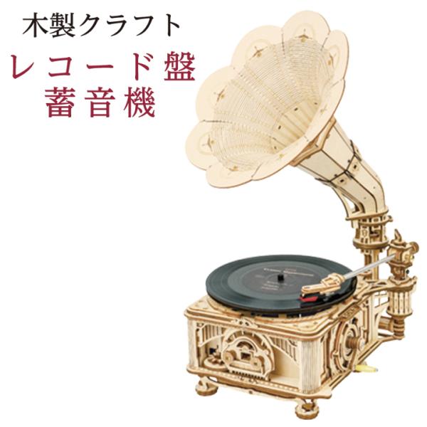 匿名発送❗蓄音機　木製　パズル　立体 supernatto_sn-woodcraft06