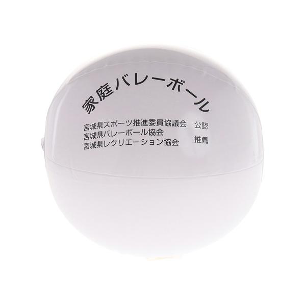その他ブランド（OTHER BRAND）（メンズ、レディース）家庭バレーボール 3174394131 自主練