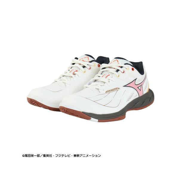 MIZUNO（ミズノ） （メンズ、レディース）バドミントンシューズ