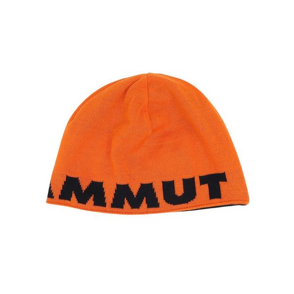MAMMUT（マムート） （メンズ、レディース）ニット帽 トレッキング