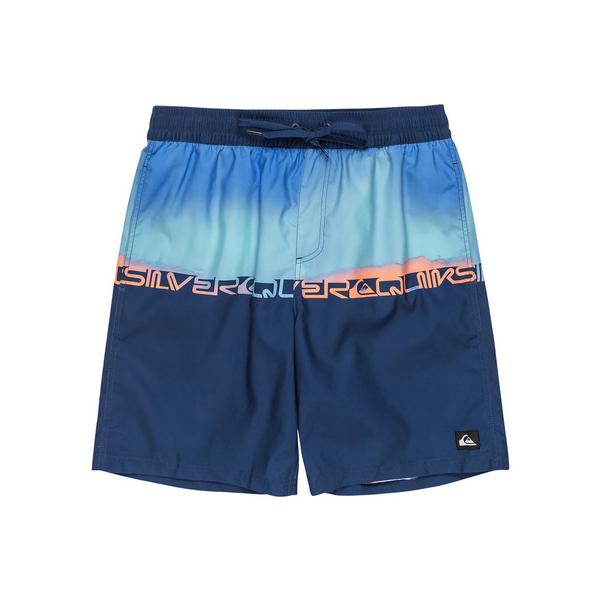 QUIKSILVER（クイックシルバー）EVERYDAY WORDBLOCK VL 19 メンズ 2025春夏モデル ボードショーツ QBS251002