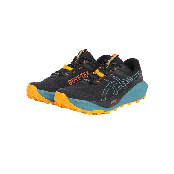 アシックス（ASICS）（メンズ）ランニングシューズ トレランシューズ GEL-Trabuco 13 GTX 1011B978.001