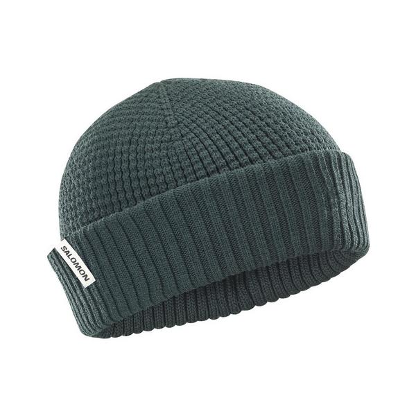 サロモン（SALOMON）（メンズ、レディース）ニット帽 トレッキング 登山 DOCKER ビーニー LC2601600