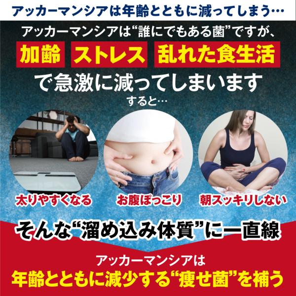 suplinx_576-09340_4_d_20260226182834