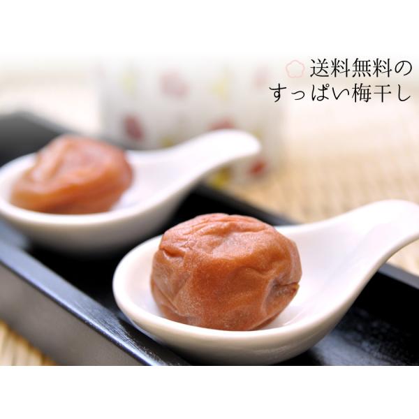 訳あり 送料無料 にし川の梅干し（無添加・無着色）