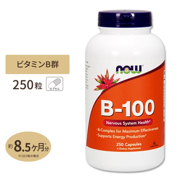 ビタミンB-100 250粒 約8ヶ月分 NOW Foods (ナウフーズ)[お得サイズ]