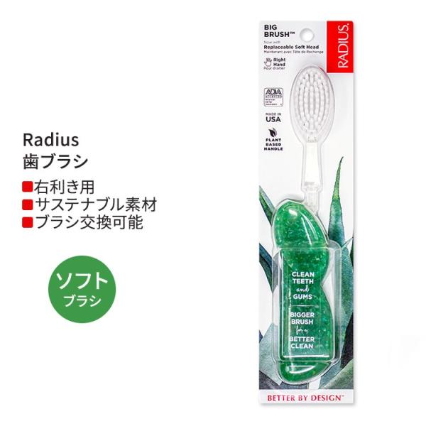 ラディウス ビッグ ブラシ 右手用 ソーダポップエコグラインド Radius