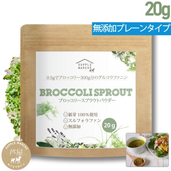 ブロッコリースプラウトパウダー 20g（50回分）150日  スルフォラファン 送料無料 サプリ ダイエット 美容 健康 エイジングケア