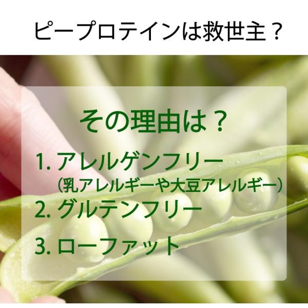 ピープロテイン 500g ビーガン仕様 ボタニカル えんどう豆プロテイン ビーガン ダイエット 美容 タンパク質 Buyee Buyee 日本の通販商品 オークションの代理入札 代理購入