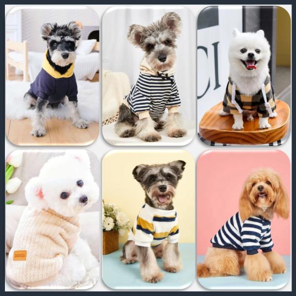 ドッグウェア 犬服 犬の服 ペット服 パーカー スウェット 猫 春服 夏服 秋服　散歩