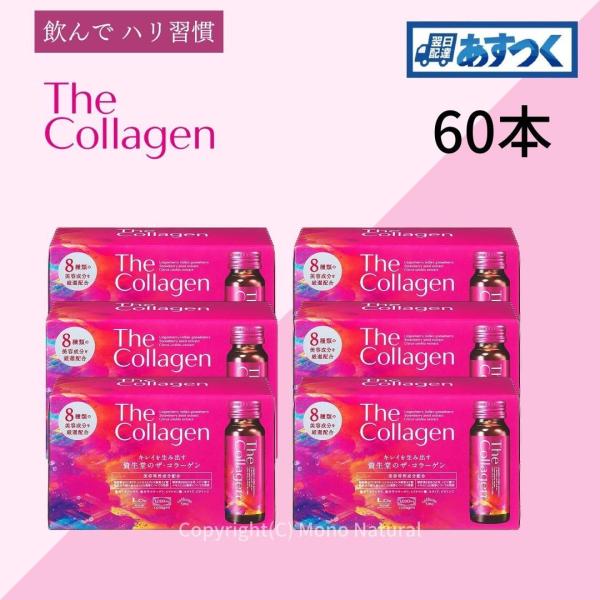 SHISEIDO (資生堂) - 資生堂 ザ コラーゲンドリンク 60本 SHISEIDO 資生堂 ザ・コラーゲンドリンク 60本 the collagen
