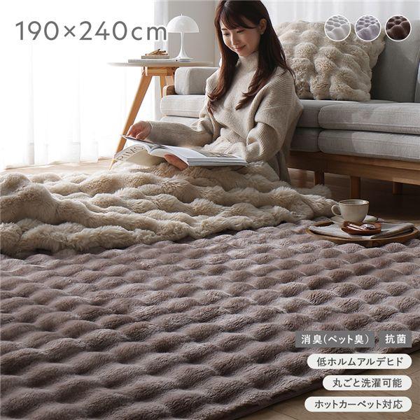 ふわもこ ラグ 約190×240cm モカ 洗える 抗菌 消臭 ペット臭 滑り止め