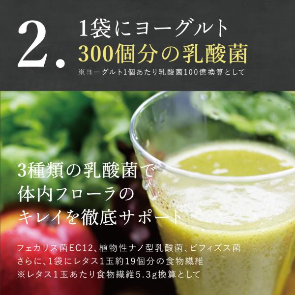 グリーンスムージーダイエットガイド Rentdeworl6