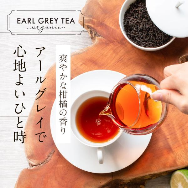 アールグレイ紅茶 アールグレイ茶葉 有機jas セイロン 紅茶 100g リーフ 最高級グレード 茶葉 オーガニック セイロン紅茶 無農薬 無糖 スリランカ産 水出し 紅茶 Buyee Buyee Japanese Proxy Service Buy From Japan Bot Online