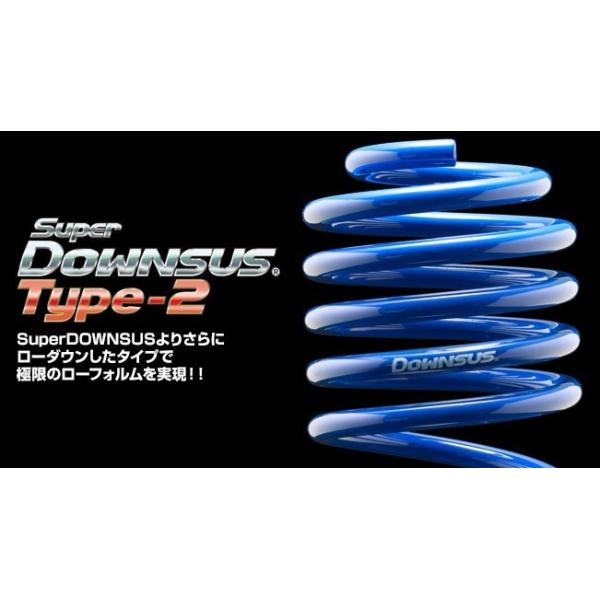 ESPELIR（エスペリア） エスペリア|スーパーダウンサスタイプ2